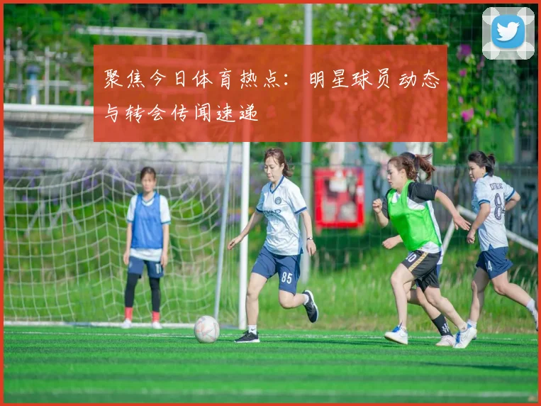 聚焦今日体育热点：明星球员动态与转会传闻速递